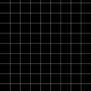 Meet your Posher, Fiona